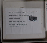 Image Associated With the Occurence